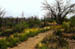 ar_cesta1